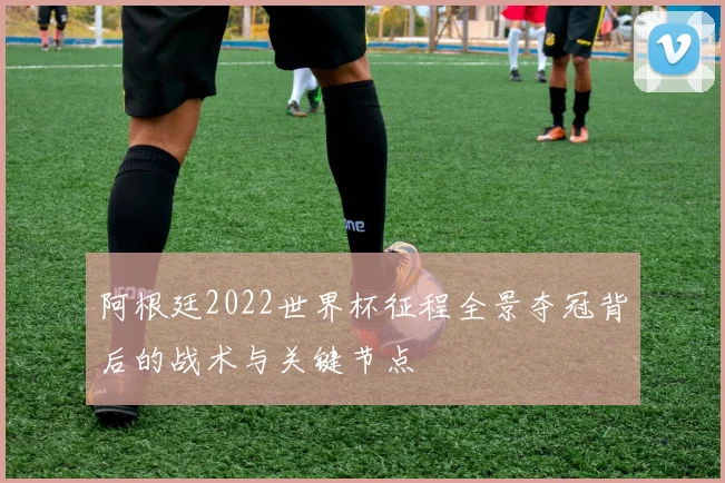 阿根廷2022世界杯征程全景夺冠背后的战术与关键节点