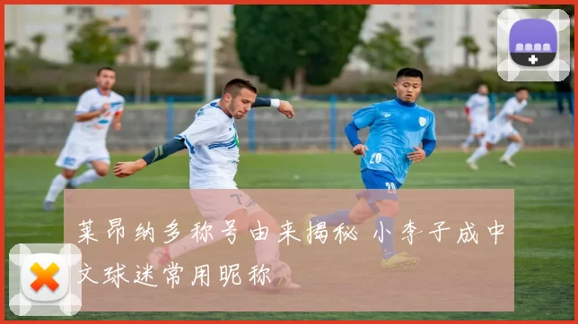 莱昂纳多称号由来揭秘 小李子成中文球迷常用昵称