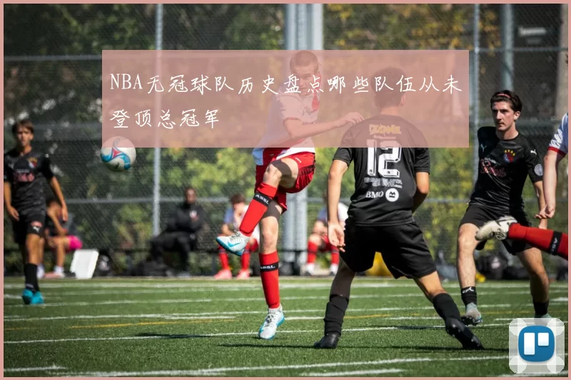 NBA无冠球队历史盘点哪些队伍从未登顶总冠军