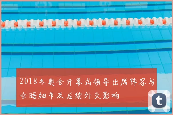 2018冬奥会开幕式领导出席阵容与会晤细节及后续外交影响