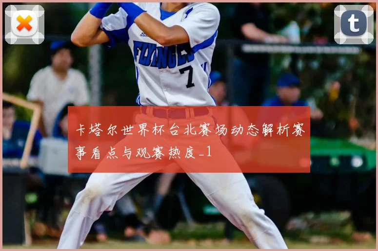 卡塔尔世界杯台北赛场动态解析赛事看点与观赛热度_1