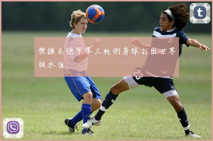 樊振东德甲第三轮侧身球打出世界级水准