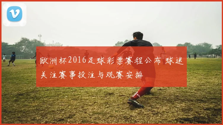 欧洲杯2016足球彩票赛程公布 球迷关注赛事投注与观赛安排