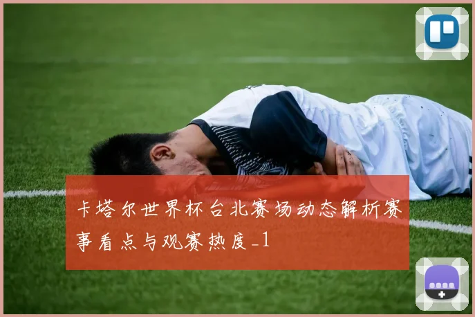 卡塔尔世界杯台北赛场动态解析赛事看点与观赛热度_1