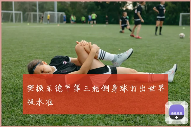 樊振东德甲第三轮侧身球打出世界级水准