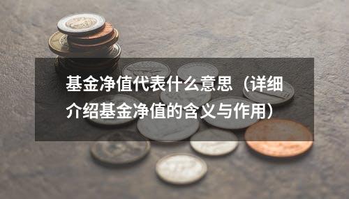 基金净值代表什么意思（详细介绍基金净值的含义与作用）