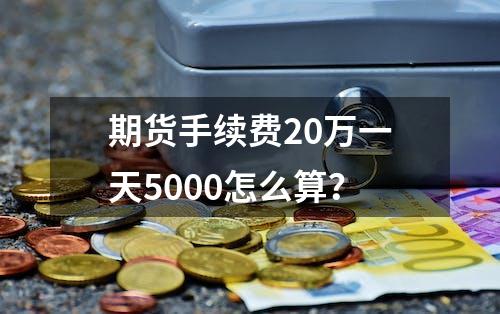 期货手续费20万一天5000怎么算？