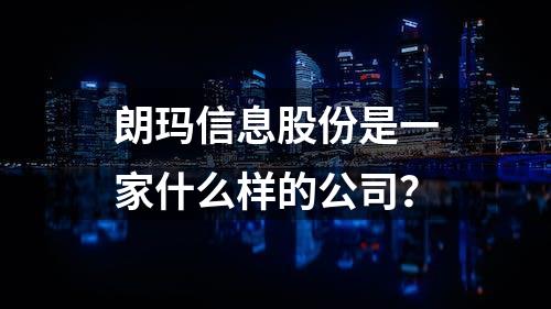 朗玛信息股份是一家什么样的公司？