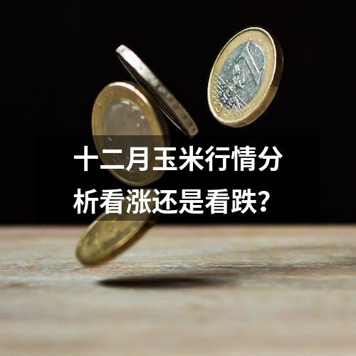 十二月玉米行情分析看涨还是看跌？