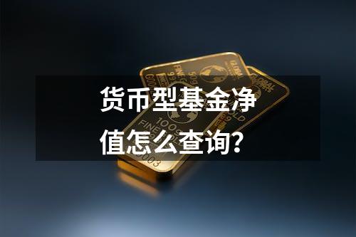 货币型基金净值怎么查询？