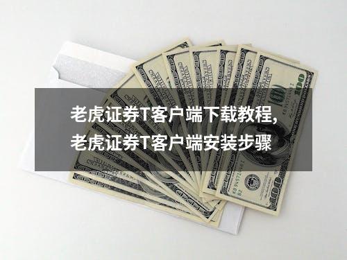 老虎证券T客户端下载教程,老虎证券T客户端安装步骤