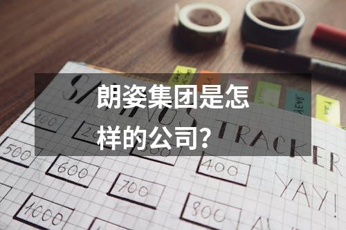 朗姿集团是怎样的公司？