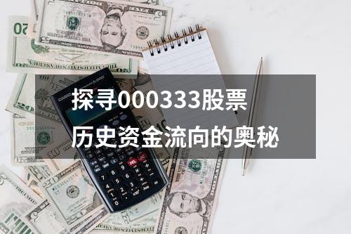 探寻000333股票历史资金流向的奥秘