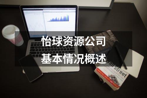 怡球资源公司基本情况概述