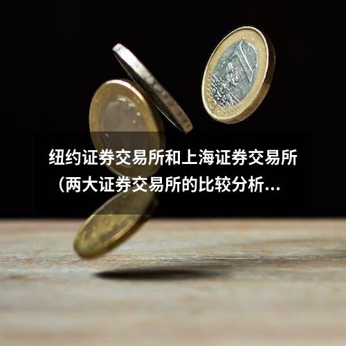 纽约证券交易所和上海证券交易所（两大证券交易所的比较分析）