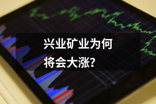 兴业矿业为何将会大涨？