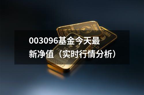 003096基金今天最新净值（实时行情分析）