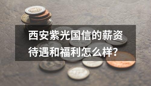 西安紫光国信的薪资待遇和福利怎么样？