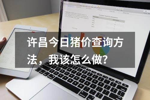 许昌今日猪价查询方法，我该怎么做？