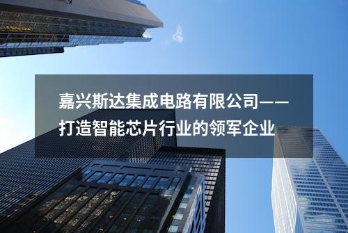 嘉兴斯达集成电路有限公司——打造智能芯片行业的领军企业