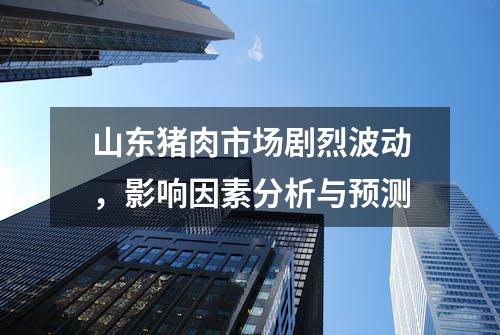 山东猪肉市场剧烈波动，影响因素分析与预测