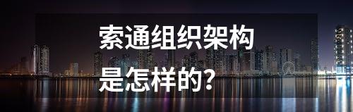 索通组织架构是怎样的？