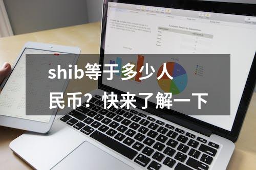 shib等于多少人民币？快来了解一下