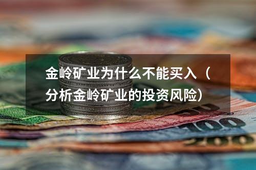 金岭矿业为什么不能买入（分析金岭矿业的投资风险）