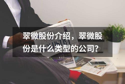 翠微股份介绍，翠微股份是什么类型的公司？