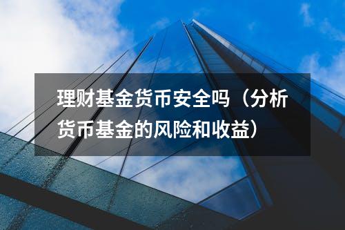 理财基金货币安全吗（分析货币基金的风险和收益）