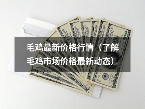 毛鸡最新价格行情（了解毛鸡市场价格最新动态）