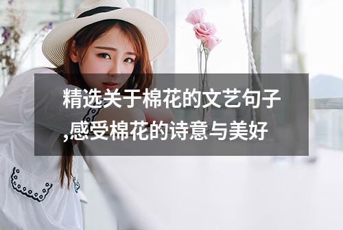 精选关于棉花的文艺句子,感受棉花的诗意与美好