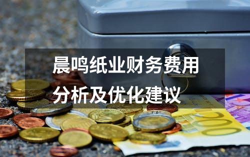 晨鸣纸业财务费用分析及优化建议