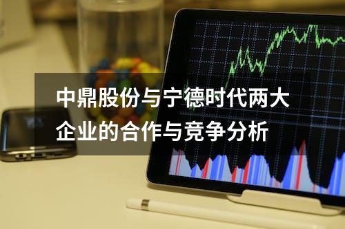 中鼎股份与宁德时代两大企业的合作与竞争分析