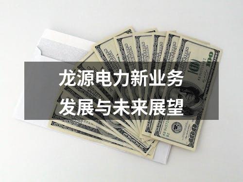 龙源电力新业务发展与未来展望