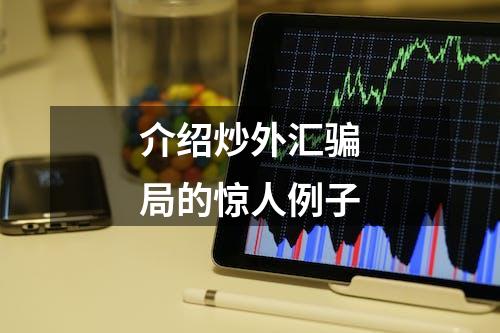 介绍炒外汇骗局的惊人例子