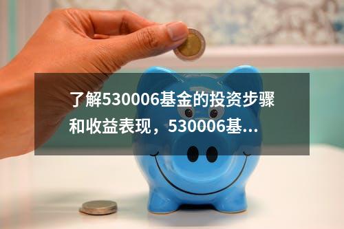 了解530006基金的投资步骤和收益表现，530006基金最新净值查询