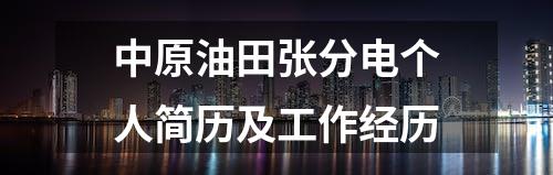 中原油田张分电个人简历及工作经历