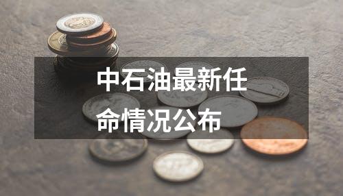 中石油最新任命情况公布