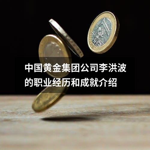 中国黄金集团公司李洪波的职业经历和成就介绍