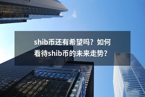 shib币还有希望吗？如何看待shib币的未来走势？