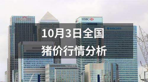 10月3日全国猪价行情分析