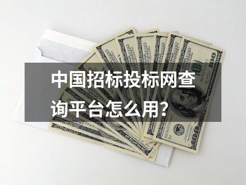 中国招标投标网查询平台怎么用？