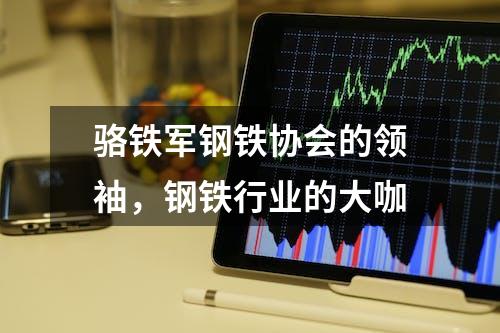 骆铁军钢铁协会的领袖，钢铁行业的大咖