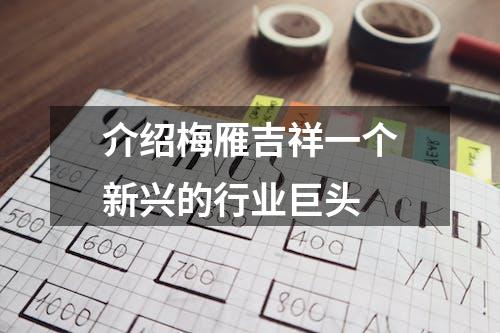 介绍梅雁吉祥一个新兴的行业巨头