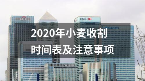 2020年小麦收割时间表及注意事项