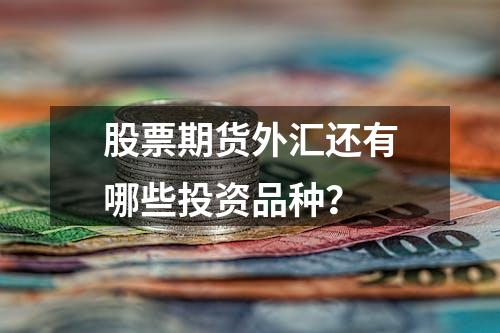 股票期货外汇还有哪些投资品种？