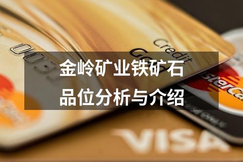 金岭矿业铁矿石品位分析与介绍