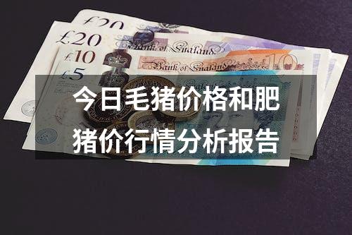 今日毛猪价格和肥猪价行情分析报告