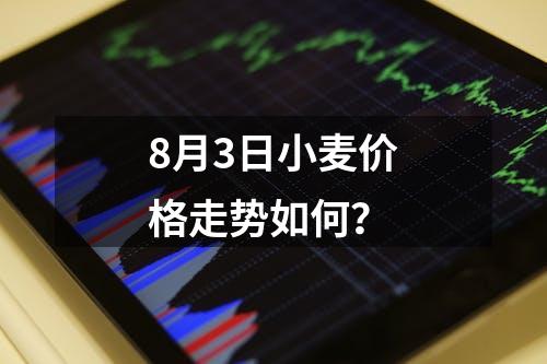 8月3日小麦价格走势如何？